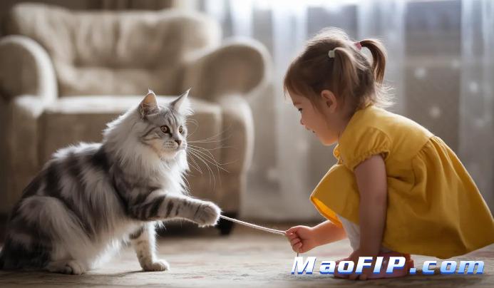 猫传腹特效药441需要打几天