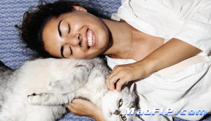 养猫多年如何一直避免猫传腹