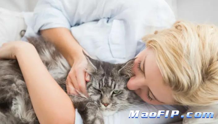 猫传腹会不会先影响食欲