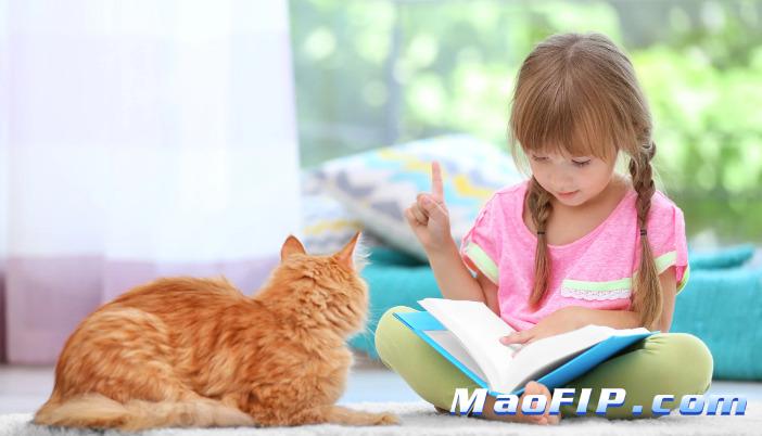 猫传腹晚期症状