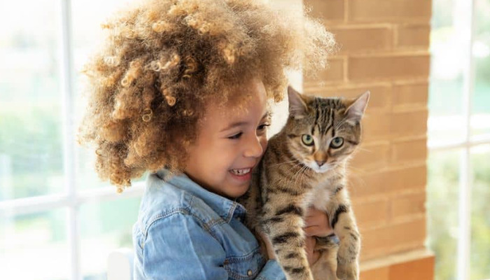 湿性猫传腹腹水越来越多 还能不能救