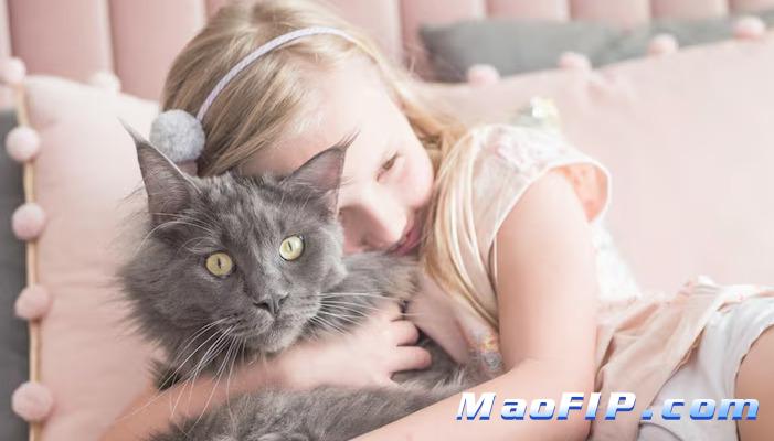 猫传染性腹膜炎传染性强吗