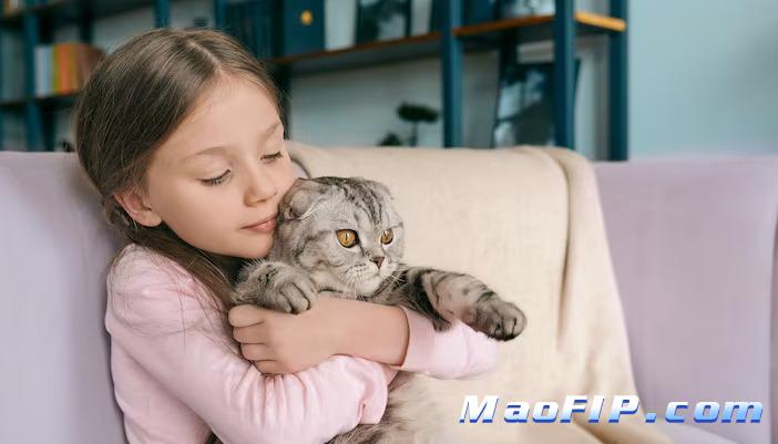 猫传腹预防需要全家配合吗