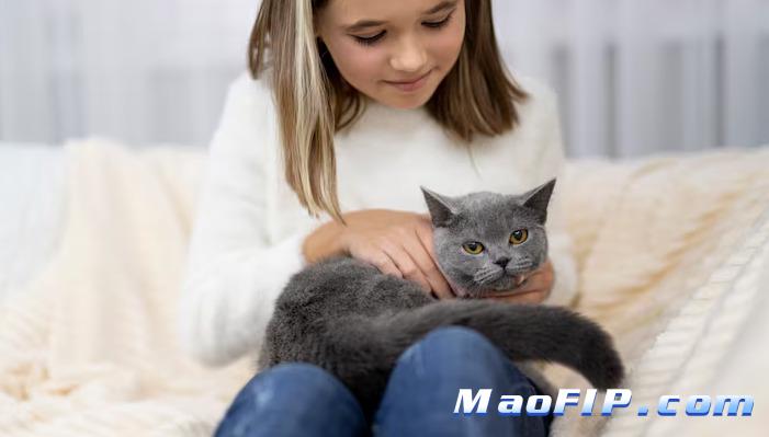 猫传腹症状猫主人最容易忽略哪一点