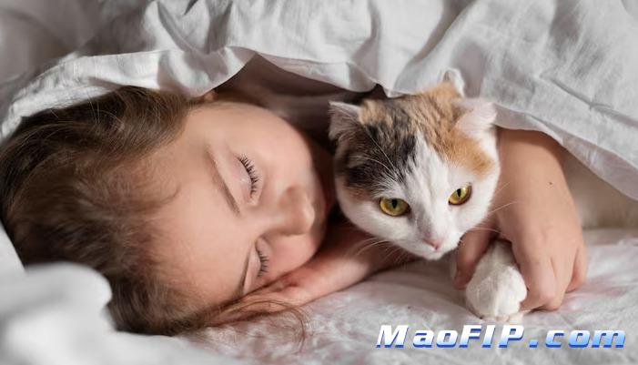 猫传腹用药会不会有副作用 对肝肾伤害大吗