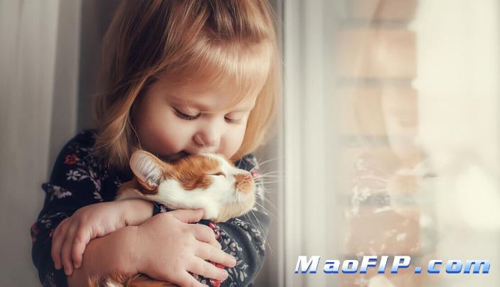 猫传腹的家庭照护指南