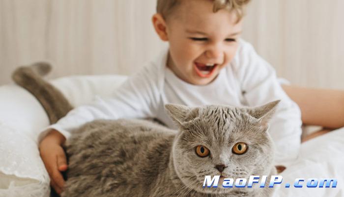 猫传腹好治疗吗