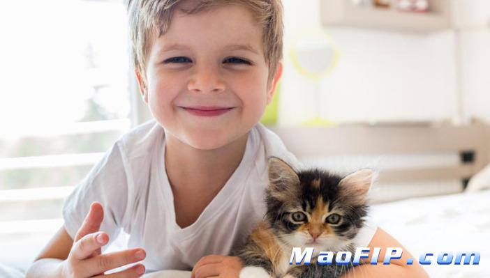 猫传染性腹膜炎如何诊断