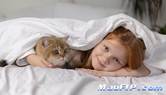 猫传腹会不会自愈