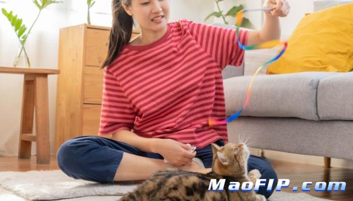 猫传腹怎么治疗最好有没有药