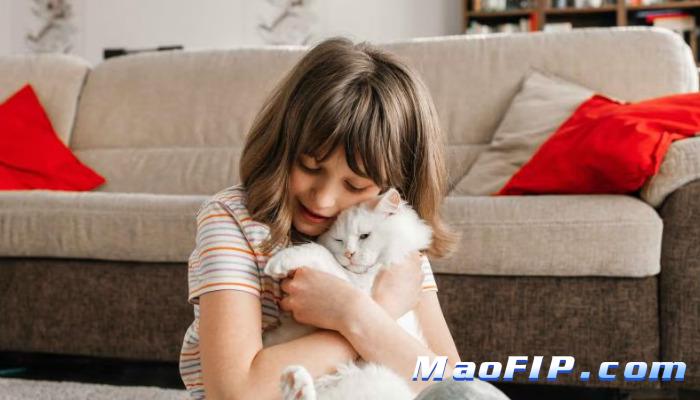 什么原因得猫传腹