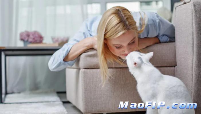 猫传染性腹膜炎的介绍