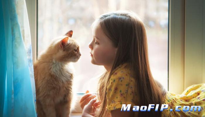 猫传腹停药后需要观察多久