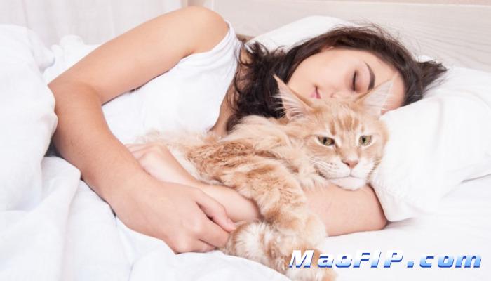 猫咪得了猫传腹还有救吗