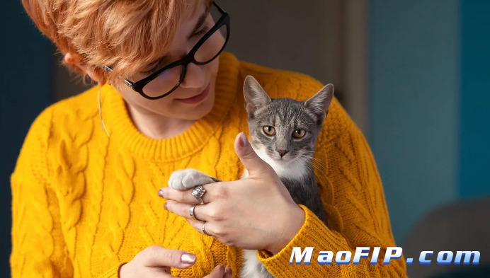 得了猫传腹(FIP)需要隔离吗