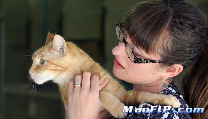 猫冠状病毒和猫传腹怎么区分