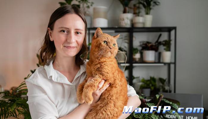 猫传腹用药和住院哪个更贵