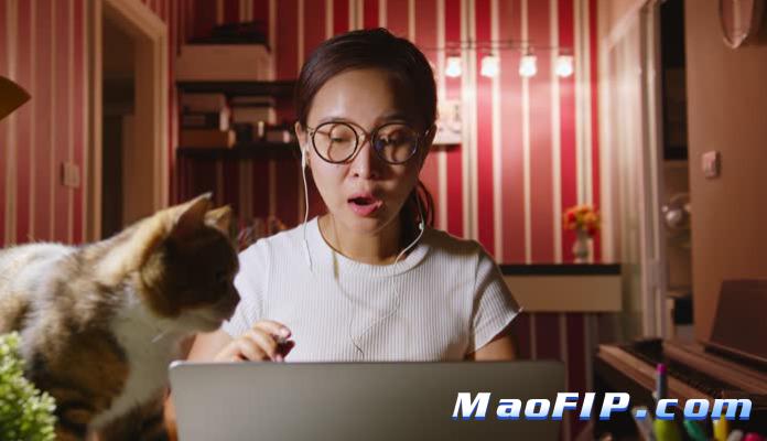 猫传腹什么症状初期