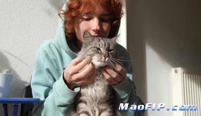 猫传腹容易复发吗