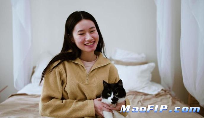 猫传腹1年后复发