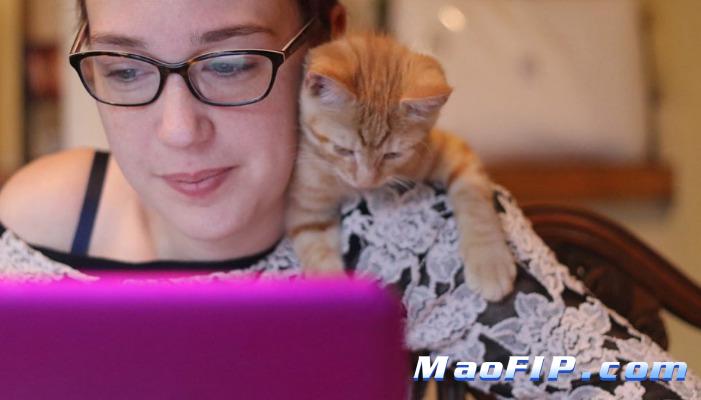 猫咪传腹有咳嗽吗，症状有哪些