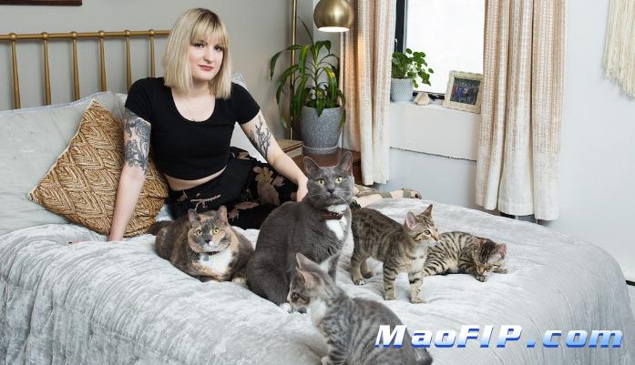 猫传腹诊断阶段饮食要注意什么