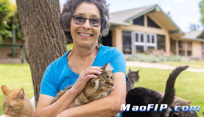 猫传腹的典型症状