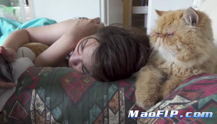 猫传染性腹膜炎的病因及诊断方法