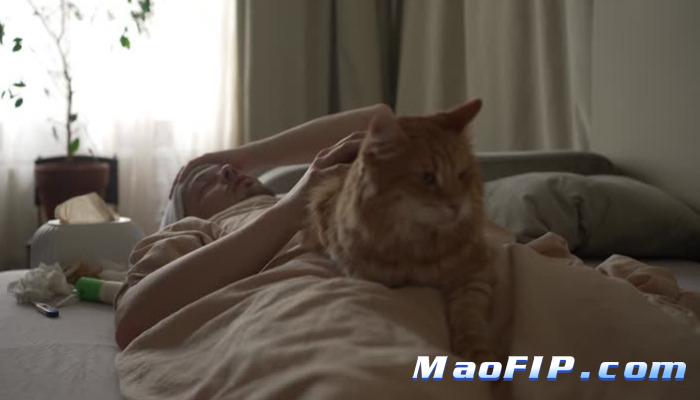 猫传腹能传染给人吗