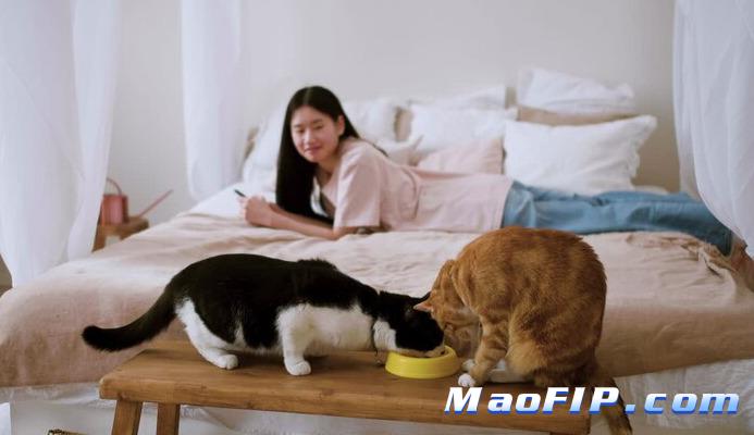 医生说疑似但不能确诊该怎么办