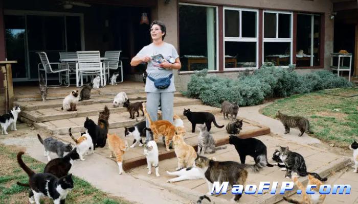 猫传腹治疗贵吗