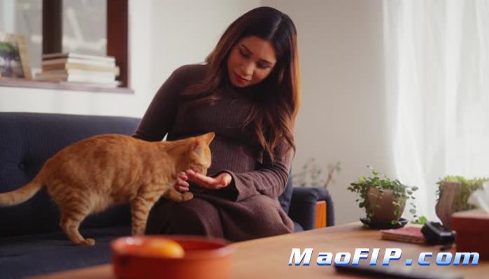 猫传腹传染途径