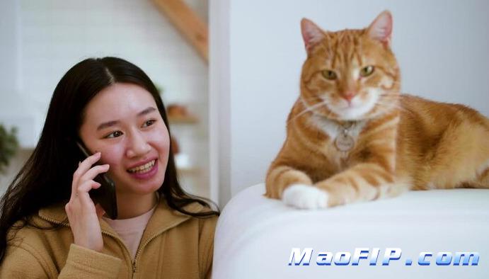 猫传染性腹膜炎和冠状病毒