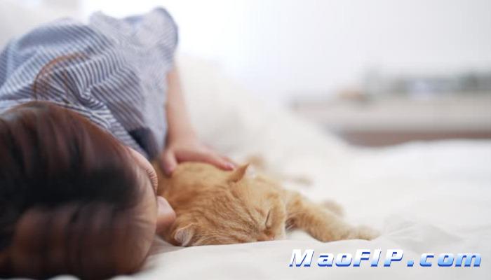 猫传染性腹膜炎怎么办能治好吗