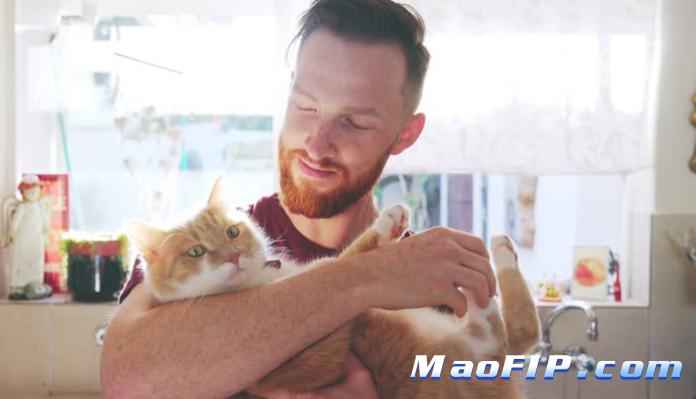 猫传腹有治愈的可能吗