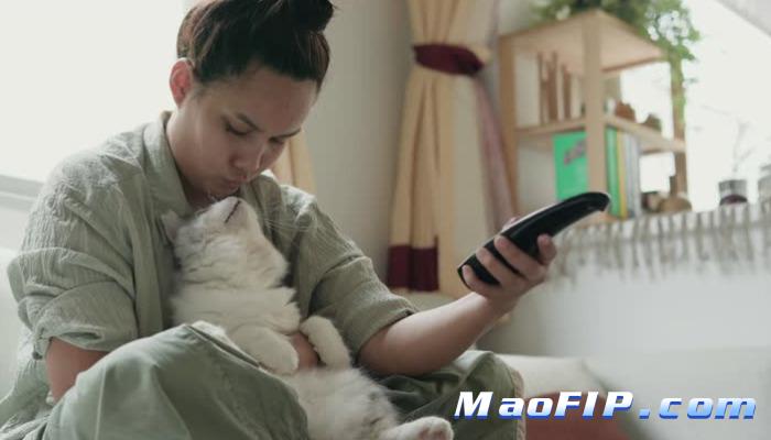 猫传腹后期还能治好吗