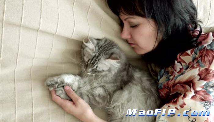 猫传染性腹膜炎的治愈率高吗