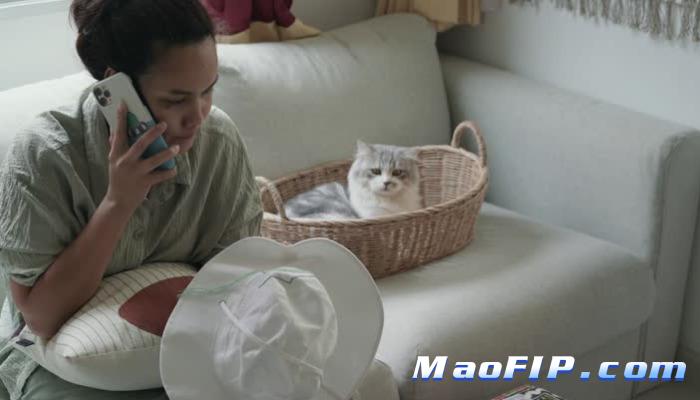猫传染性腹膜炎(FIP)治愈率高不高
