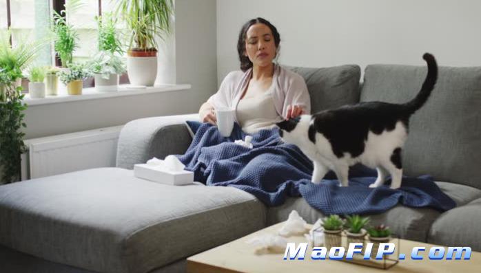 猫传腹会不会传给人