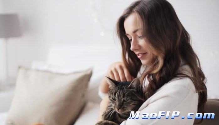 猫传腹(FIP)需要打多久441才能痊愈