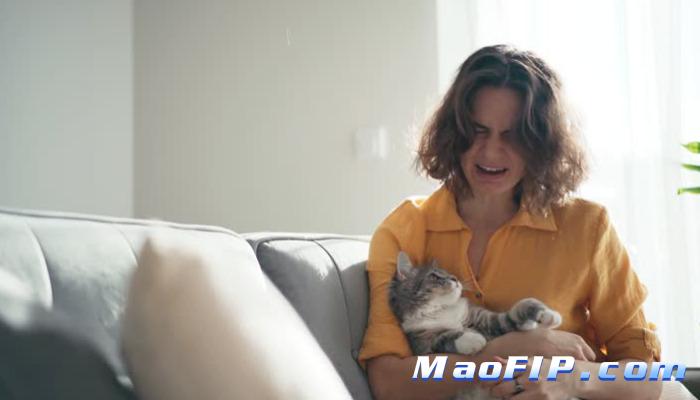 猫传腹能打几天441就停吗