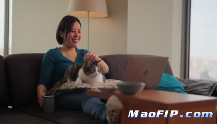 猫传腹一般是怎么治疗的