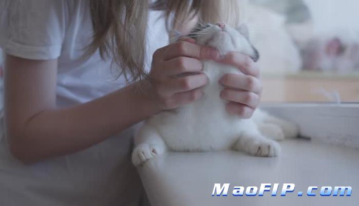 猫传染性腹膜炎的神经症状