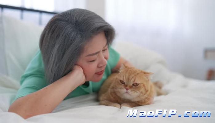 猫传腹治疗是不是对主人考验很大