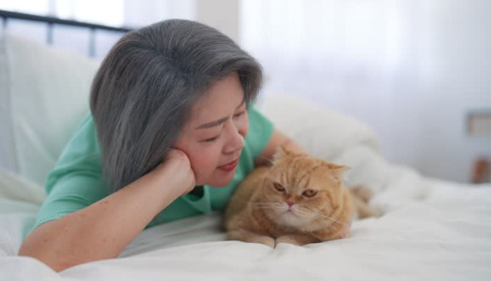 湿性猫传腹治疗方法