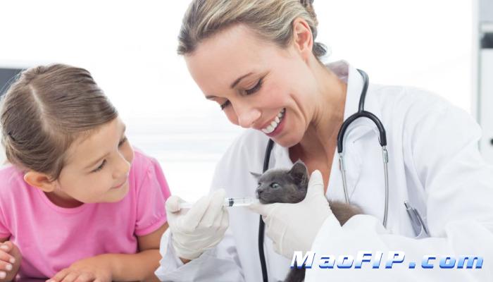 猫传腹怎么治疗过程