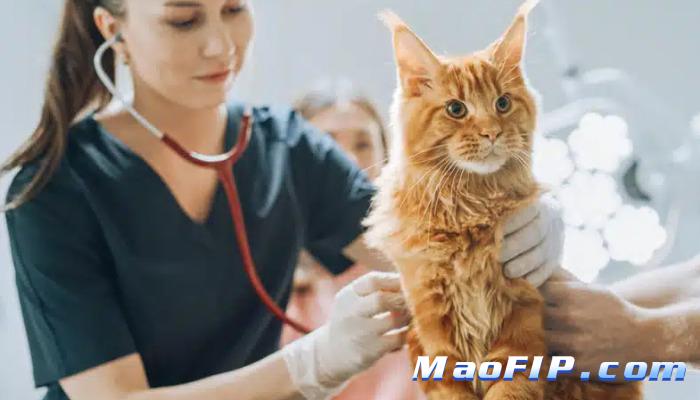 猫传腹441多少钱1毫升