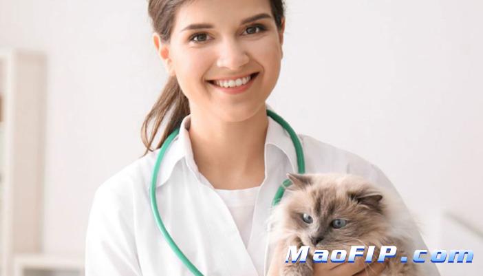 猫传腹治不好吗