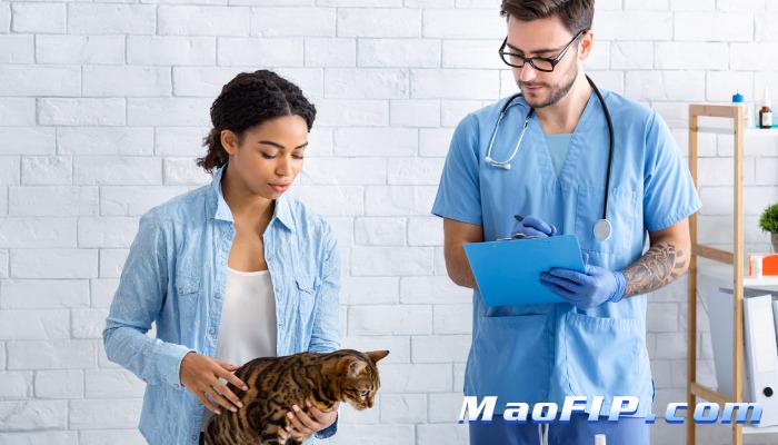 猫传染性腹膜炎会不会被误诊成其他疾病