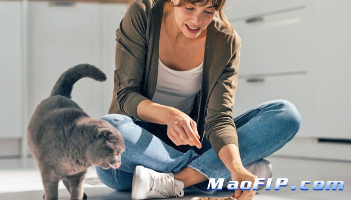 猫传腹会走不了路吗